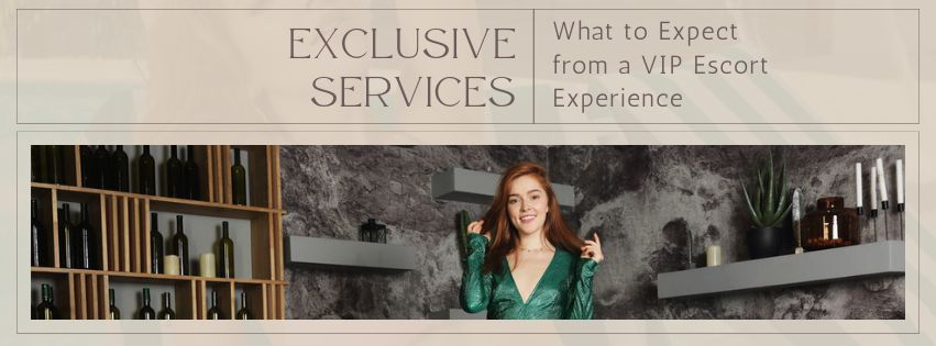 Exclusive Services What to Expect from a VIP Escort Experience